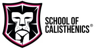A bold shield-shaped emblem features a stylized lion's face in black and white with a pink outline; to the right, bold uppercase text reads SCHOOL OF...