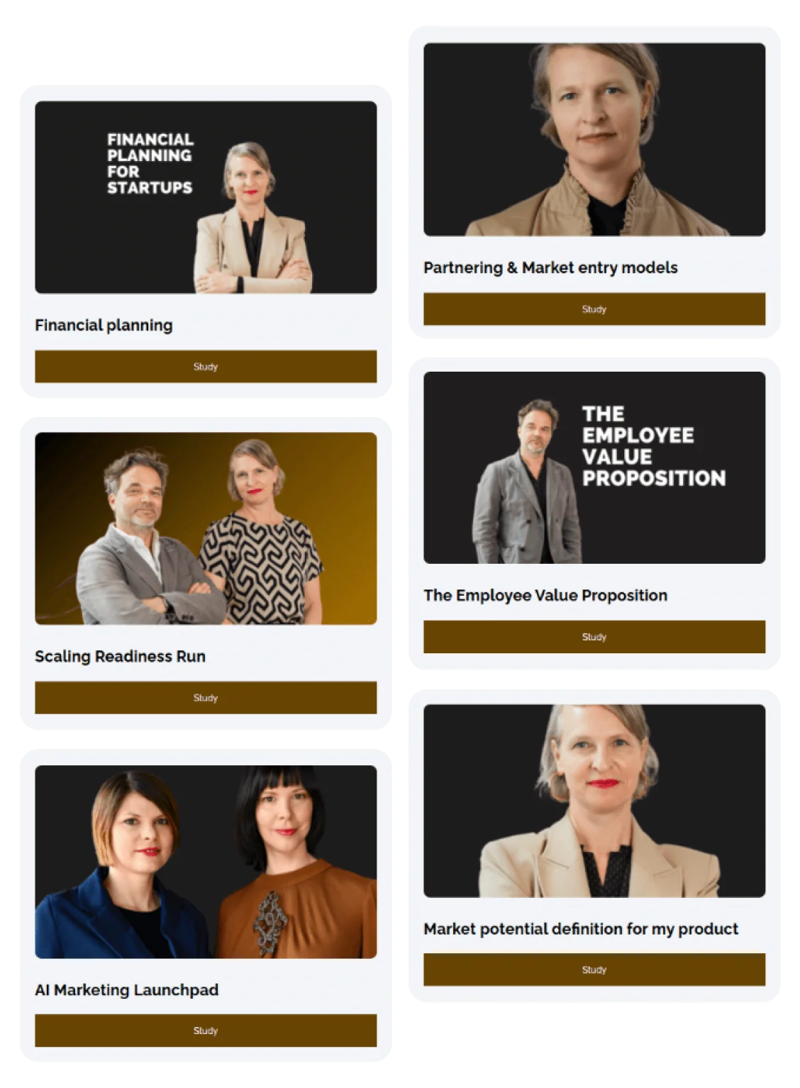Course cards showing portraits of professionals; each card names a business course and offers a "Study" button within a dark, framed web-like layout.