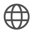 Gray circular globe icon showing horizontal and vertical grid lines (meridians and parallels), centered on a white square background, a stylized...